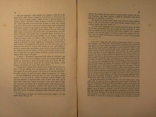 Sulla resezione dello stomaco