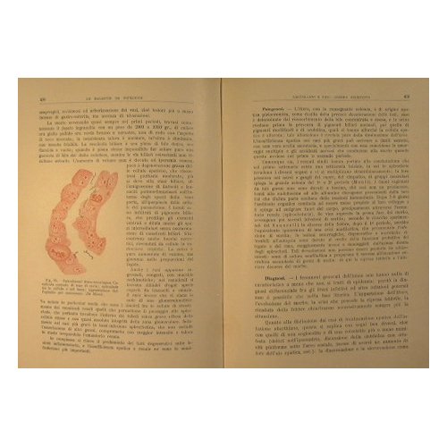 Trattato italiano di medicina interna