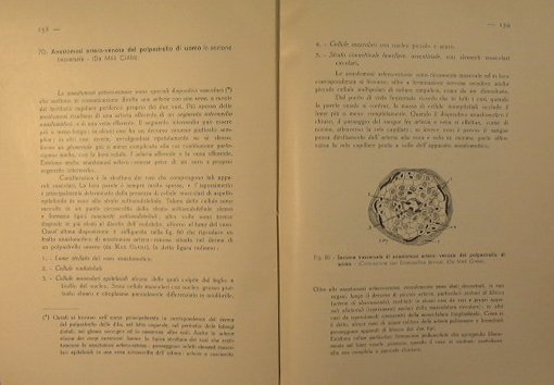 La struttura degli organi con riferimenti di fisiologia de patologia …