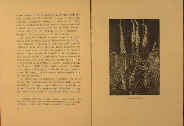 Considerazioni sulla terapia digitalica