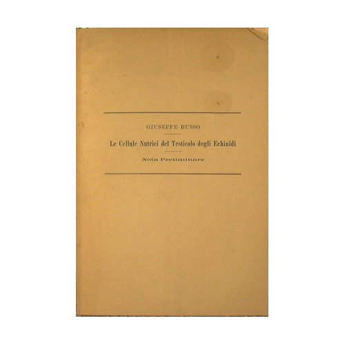 Le Cellule Nutrici del testicolo degli Echinidi