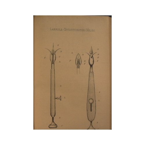 Giornale di veterinaria militare