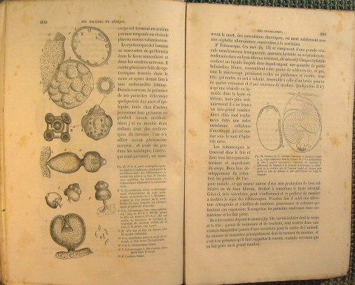 Nouveaux Elements de Pathologie Generale et de Semeiologie par E. …