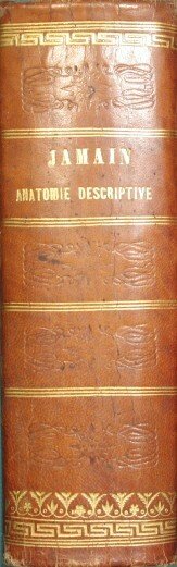 Nouveau traité élémentaire d'anatomie descriptive e de préparations anatomiques