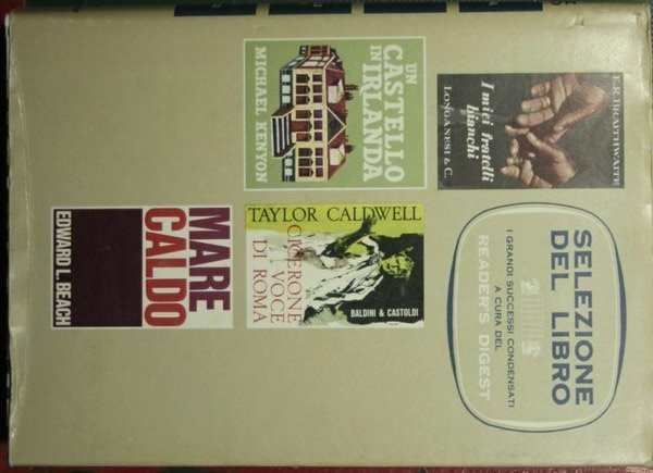 Selezione del libro - I Grandi successi condensati
