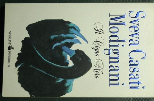 Il cigno nero | Immagine principale