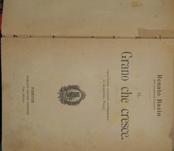 Il grano che cresce | Immagine principale