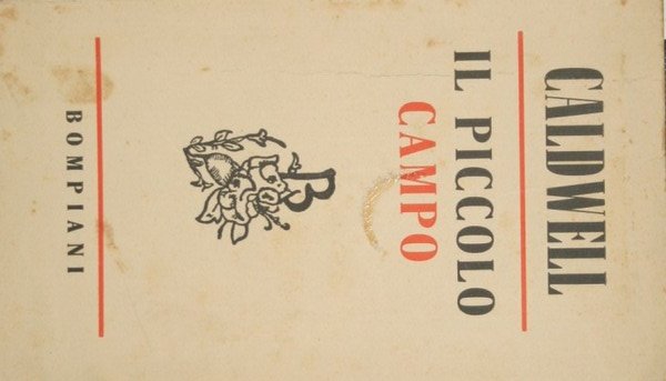 Il piccolo campo | Immagine principale