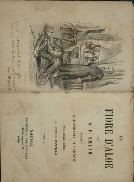 Il fiore d'aloe | Immagine principale