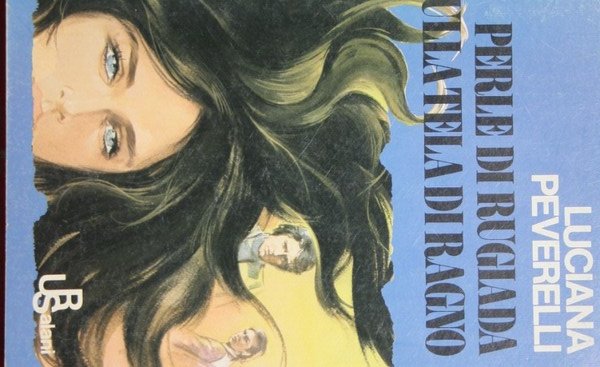 Perle di rugiada sulla tela di ragno | Immagine principale