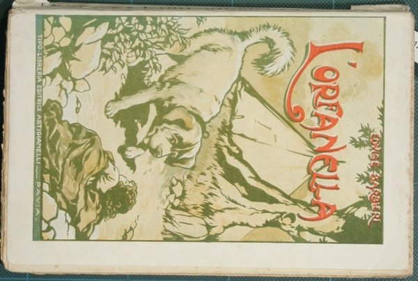 L'orfanella | Immagine principale