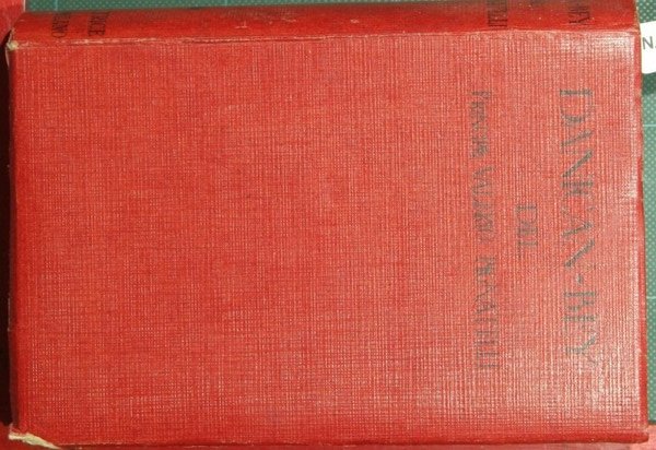 Danican Bey | Immagine principale