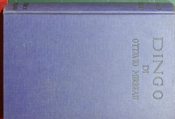 Dingo | Immagine principale