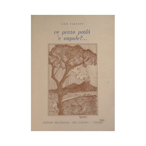 Ve pozzo parlà 'e Napule?… | Immagine principale