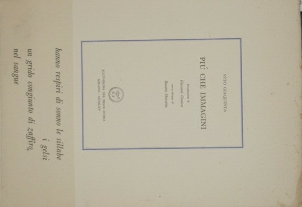 Più che immagini | Immagine principale