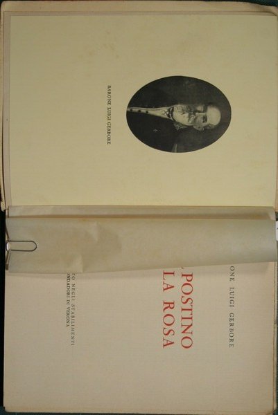 Il postino e la rosa | Immagine Gallery 4