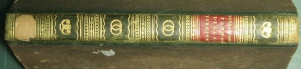 Del parto della Vergine del Sannazzaro | Immagine Gallery 2