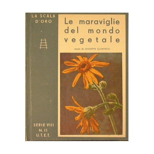 Le meraviglie del mondo vegetale