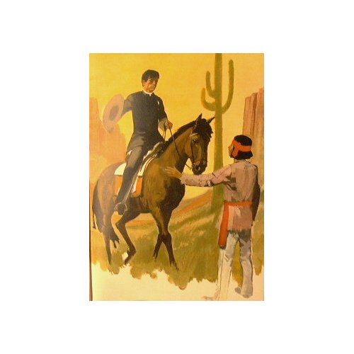 Il Cowboy misterioso