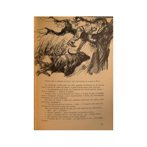 Il capitano della djumna