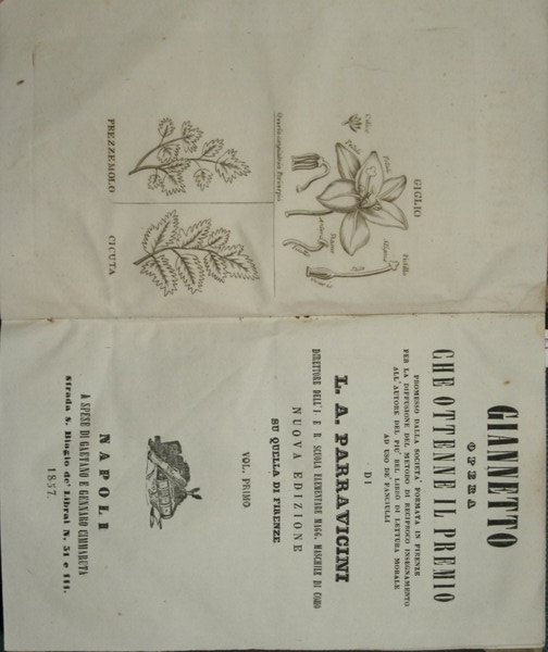 Giannetto