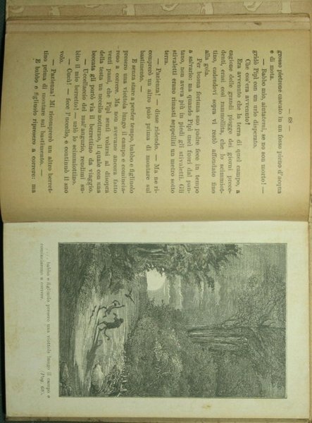 Storie allegre | Immagine Gallery 4