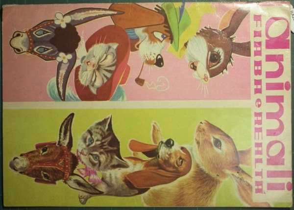 Animali. Fiaba e realtà