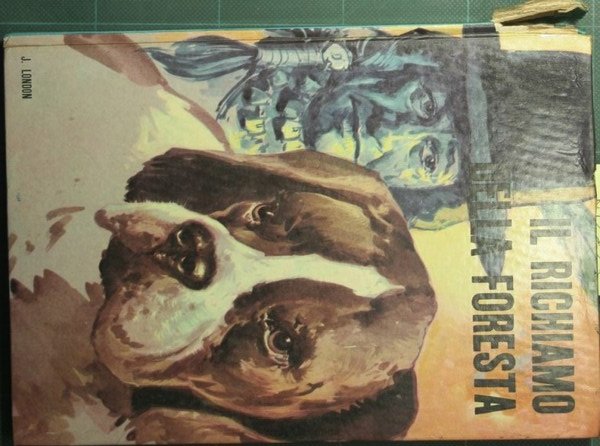 Il richiamo della foresta