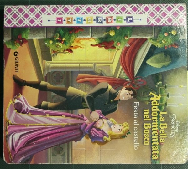 La bella addormentata nel bosco - Festa al castello