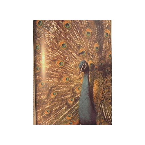 Gli animali dell'America