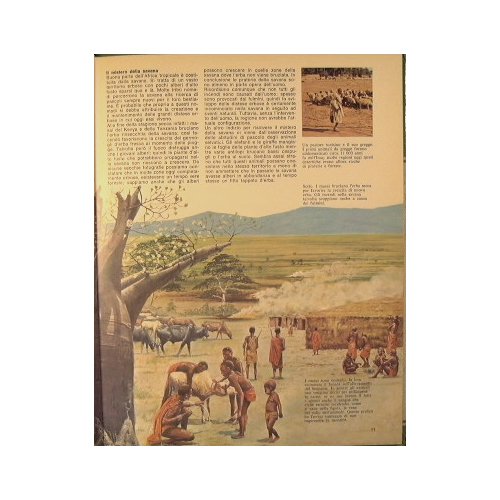 Ricerche su l'ambiente dell'uomo