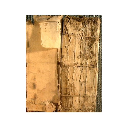 R. P. F. Felicis potestà panormitani examen ecclesiasticum adauctum tres …