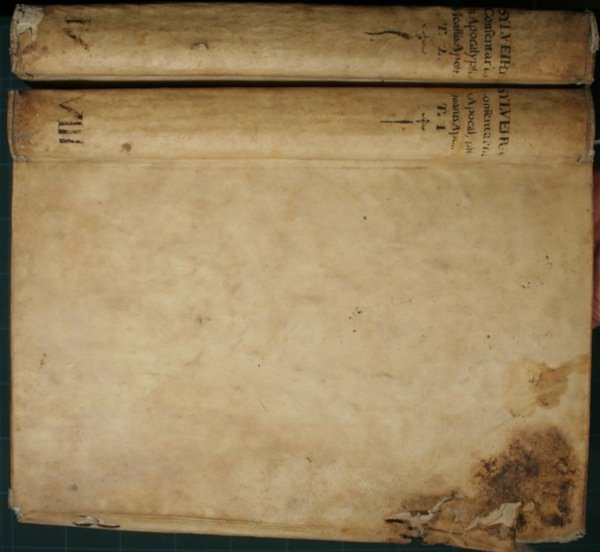 Commentariorum in Apocalypsim B. Joannis Apostoli