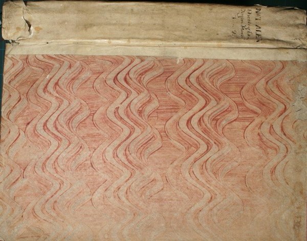 Theologia dogmatico moralis. Vol. II