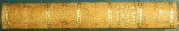 Tractatus de concilio provinciali