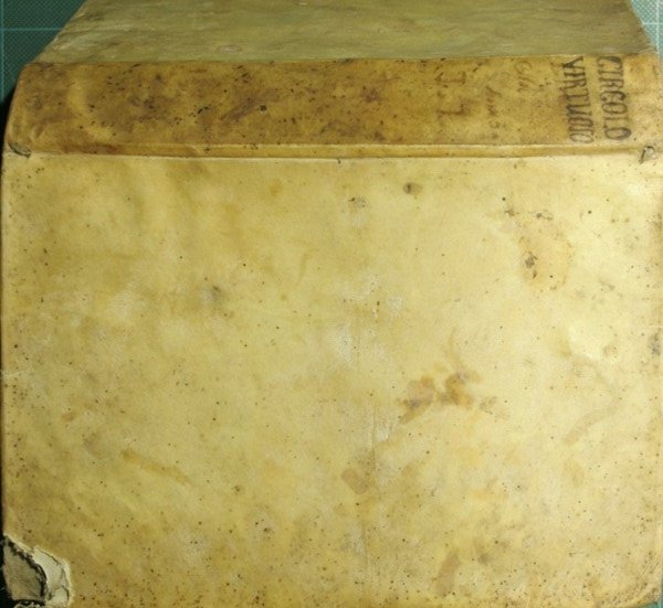 Circolo virtuoso di perfezione fruttifero per tutto il corso dell'anno