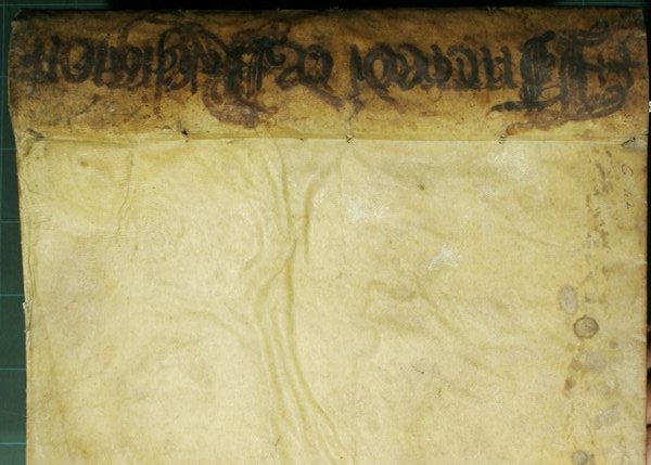 R.P. Vincentii Tancredi Panormitani Societatis Iesu Theologi Tractatus IV De …