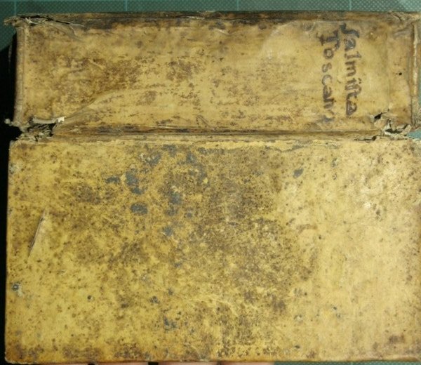 Salmista toscano. Parafrasi lirica de' Salmi di David