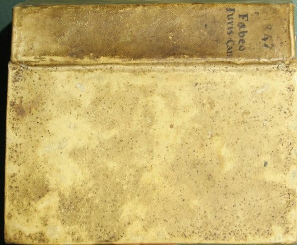 Institutionum juris canonici sive Primorum totius sacrae jurisprudentiae elementorum libri …