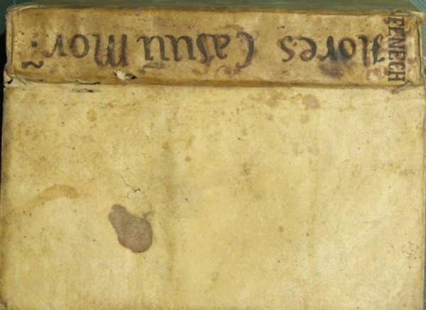 Flores casuum moralium