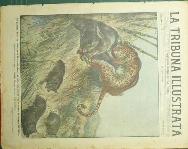 La tribuna illustrata. 15 giugno 1930