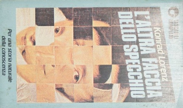 L'altra faccia dello specchio