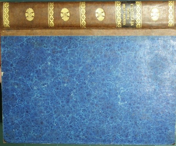 Al nuovo organo delle scienze dell'umanità