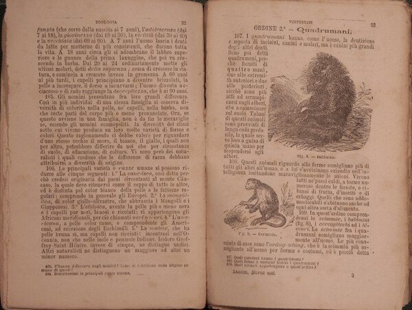 Elementi di storia naturale