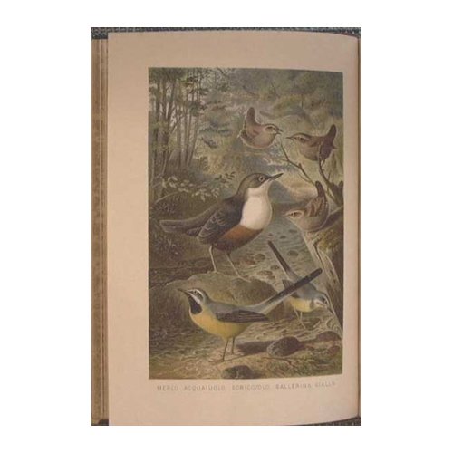 La Vita degli Animali - VOL IV - Uccelli