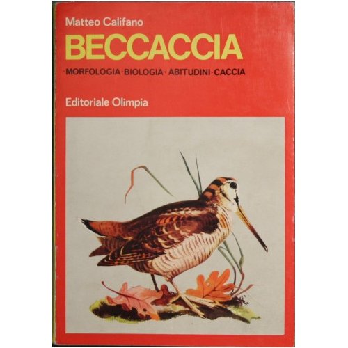 Beccaccia