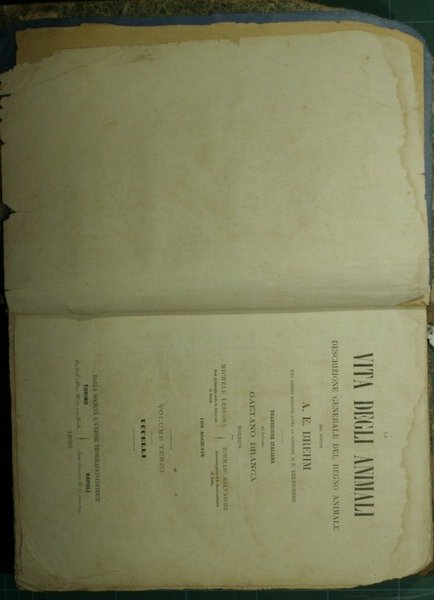 La vita degli animali. Vol. III - Uccelli