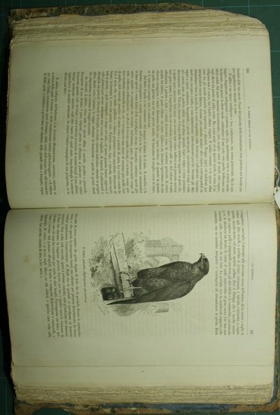 La vita degli animali. Vol. III - Uccelli