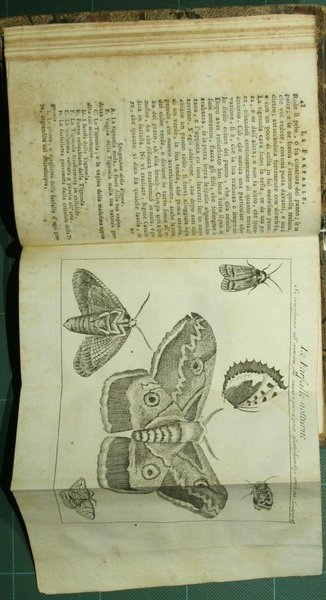 Lo spettacolo della natura