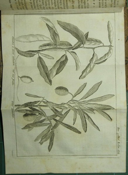 Lo spettacolo della natura